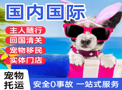 阜阳空运地址国际宠物托运 【国